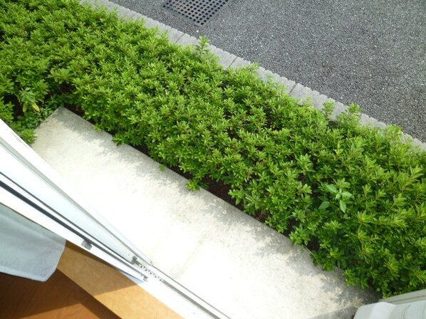 レオパレスフォレスト21Aの物件内観写真